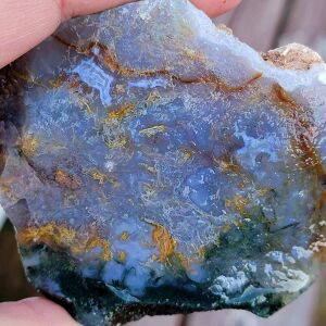 Golden variety of India Tree Agate (Lapidary Central)